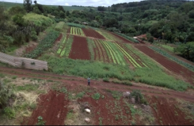 Sítio para venda em Avaré