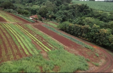 Sítio para venda em Avaré