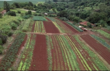 Sítio para venda em Avaré