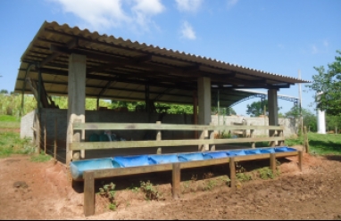 Fazenda para venda em Avaré