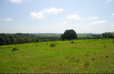 Fazenda para venda em Avaré