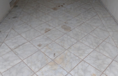 Casa para locação em Avaré