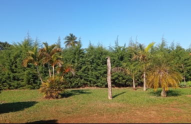 Casa para locação em Avaré